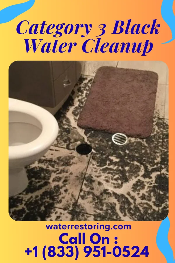 Category 3 Black Water Cleanup in Willsboro Point, NY