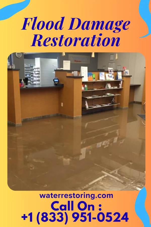 Flood Damage Restoration in Willsboro Point, NY