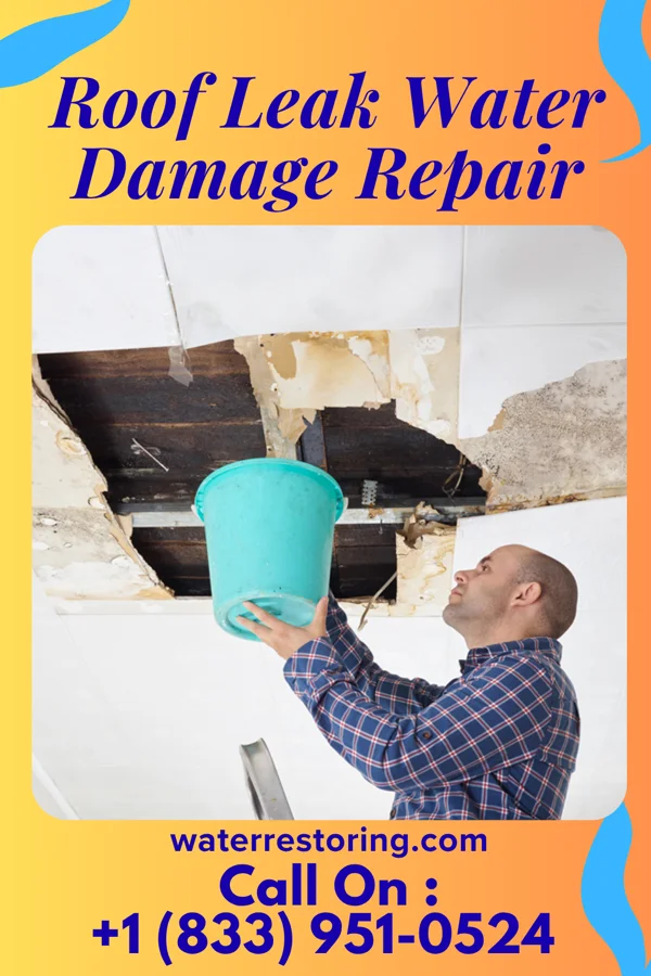 Roof Leak Water Damage Repair in Willsboro Point, NY