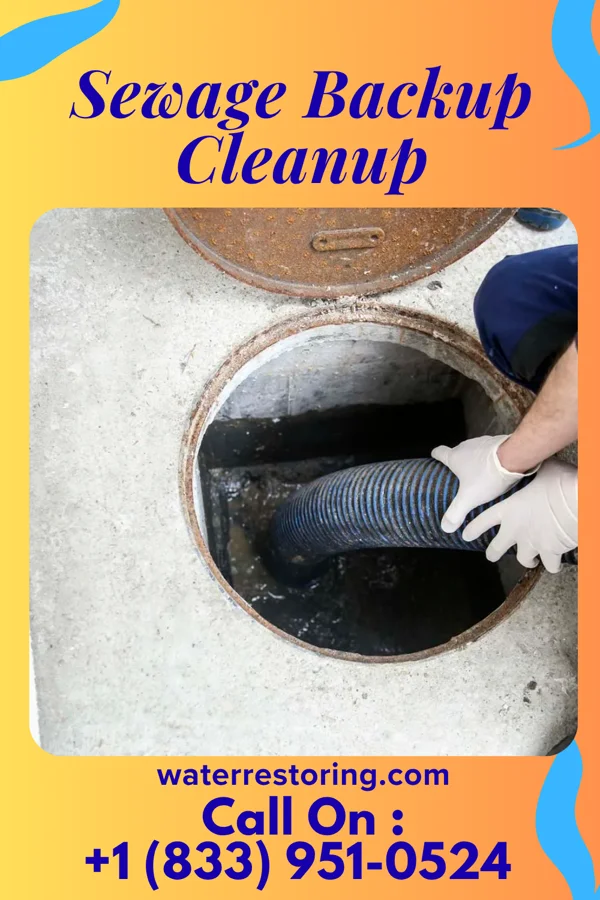 Sewage Backup Cleanup in Willsboro Point, NY
